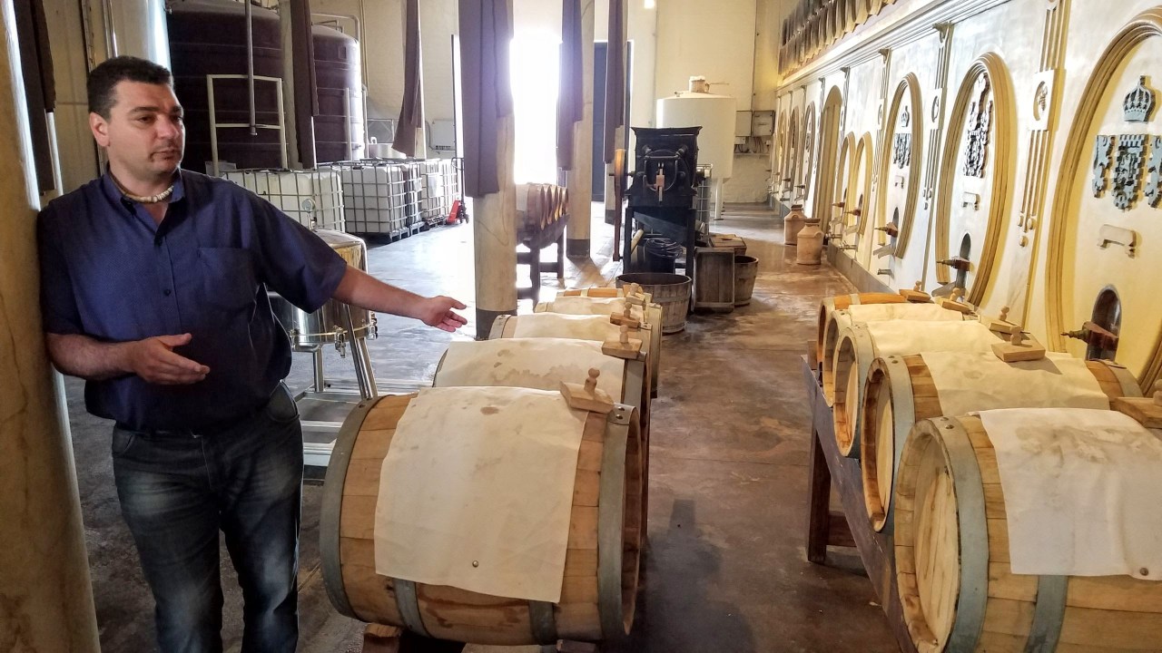 Mendoza: Olivícola Laur